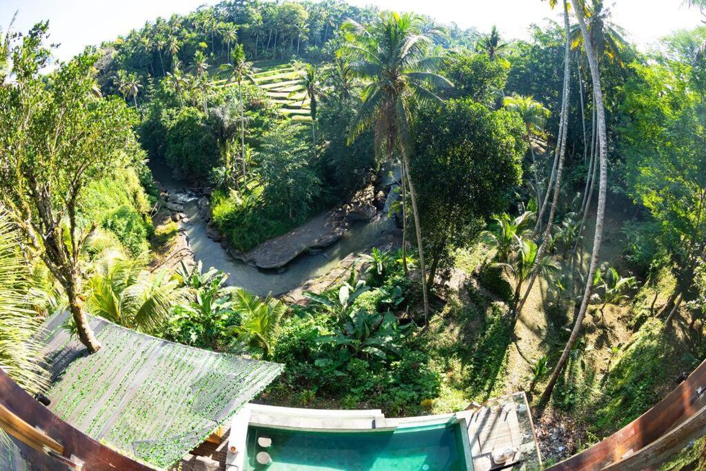 Ubud Riverside Villa מראה חיצוני תמונה