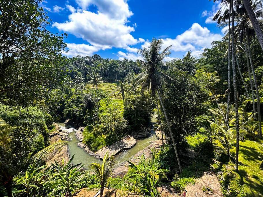 Ubud Riverside Villa מראה חיצוני תמונה