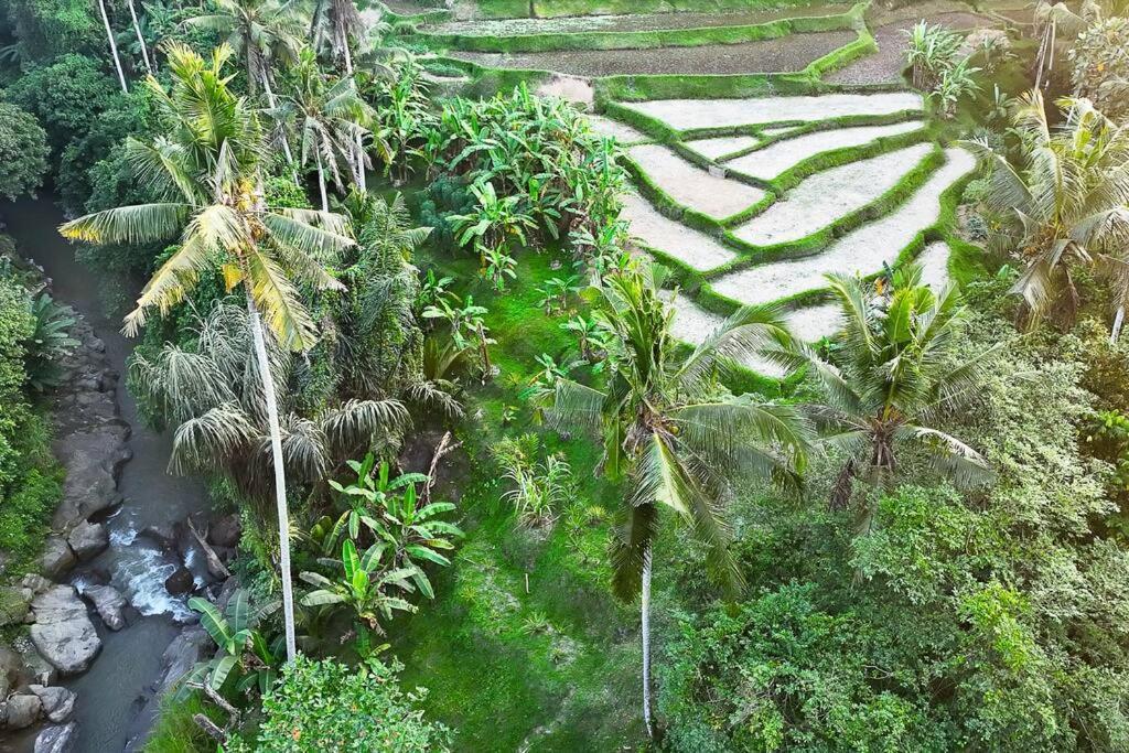 Ubud Riverside Villa מראה חיצוני תמונה