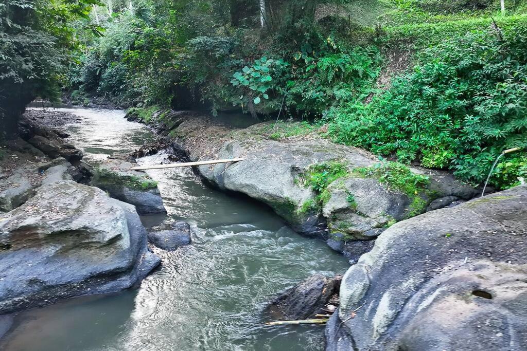 Ubud Riverside Villa מראה חיצוני תמונה